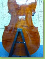 16500 cello 8.jpg